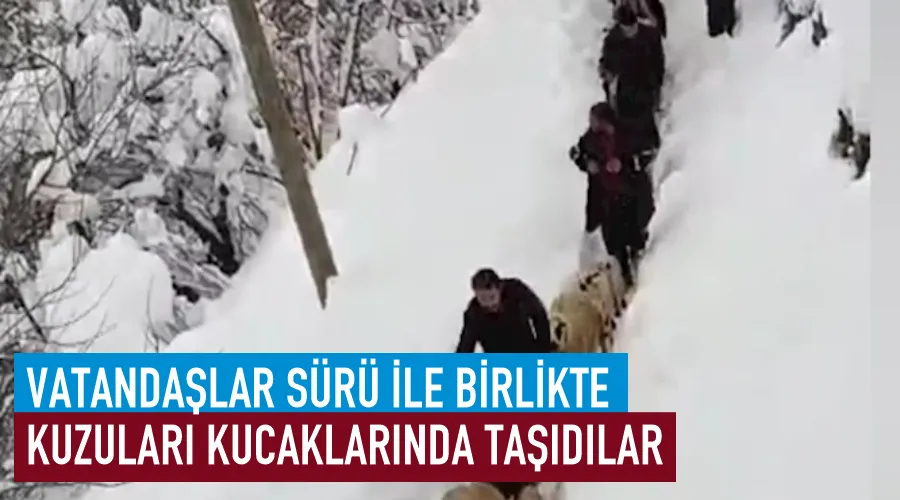 Vatandaşlar sürü ile birlikte kuzuları kucaklarında taşıdılar