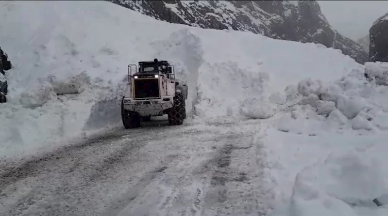 Yüksekova’da düşen çığ nedeniyle kapanan yol ulaşıma açıldı
