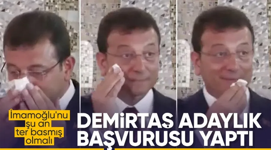 Başak Demirtaş, DEM Parti