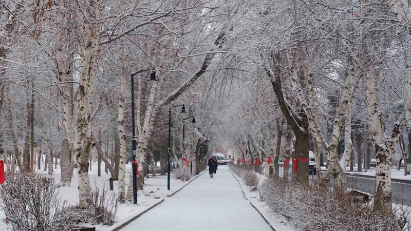 Erzurum’da kar yağışı şehri beyaza bürüdü
