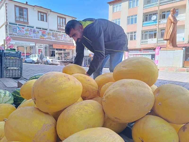 Çemişgezek’in her mevsime dirençli kış kavunu tezgahlardaki yerini aldı
