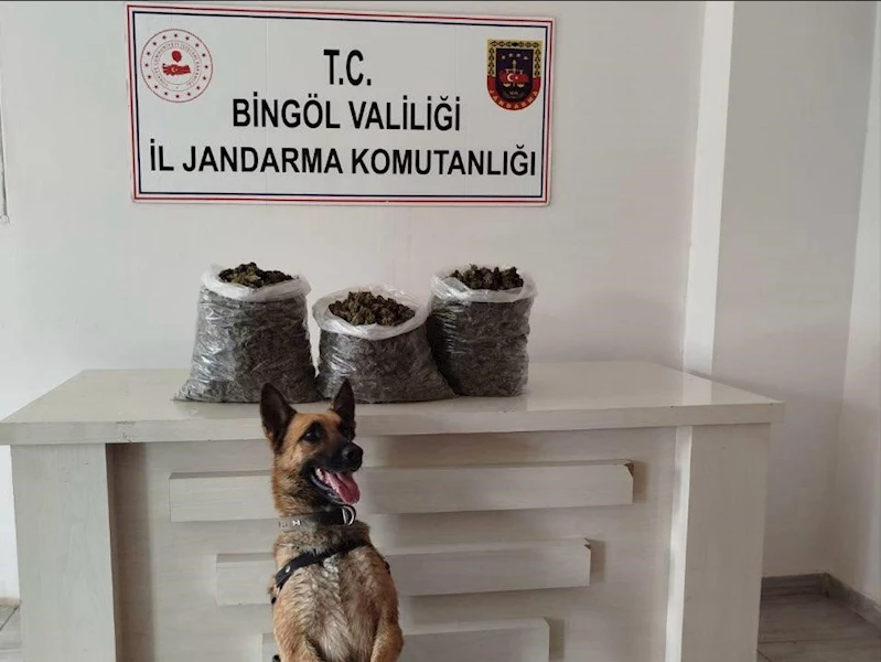 Bingöl’de 4,5 kilo esrar ele geçirildi
