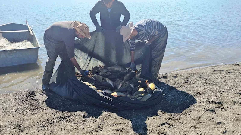 Van’da ağla kaçak balık avlayan kişiye 8 bin 918 liralık ceza
