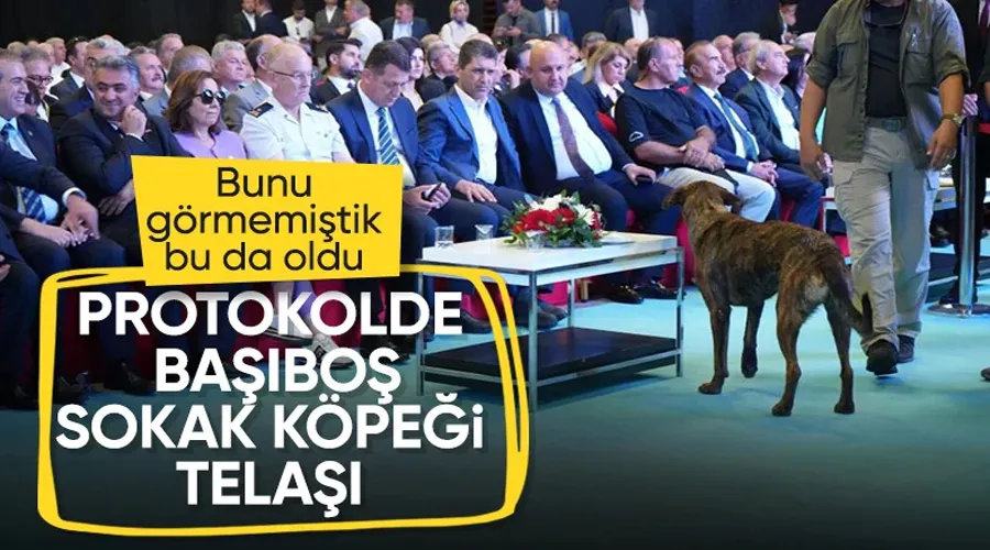 Fuarda Gerilim: Başıboş Sokak Köpeği Salonu Bastı!