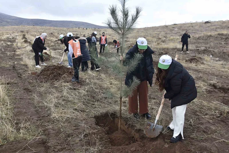 Bitlis’te bin adet fidan dikildi
