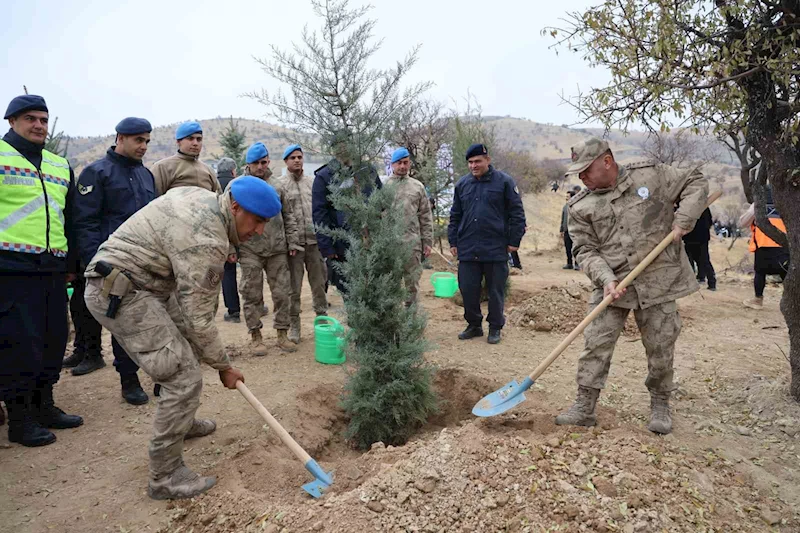 Elazığ’da 2 bin 300 fidan toprakla buluştu