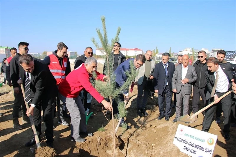 Erciş’te fidan dikme etkinliği