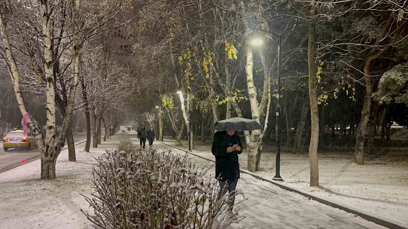 Erzurum’da kar yağışı etkili oluyor
