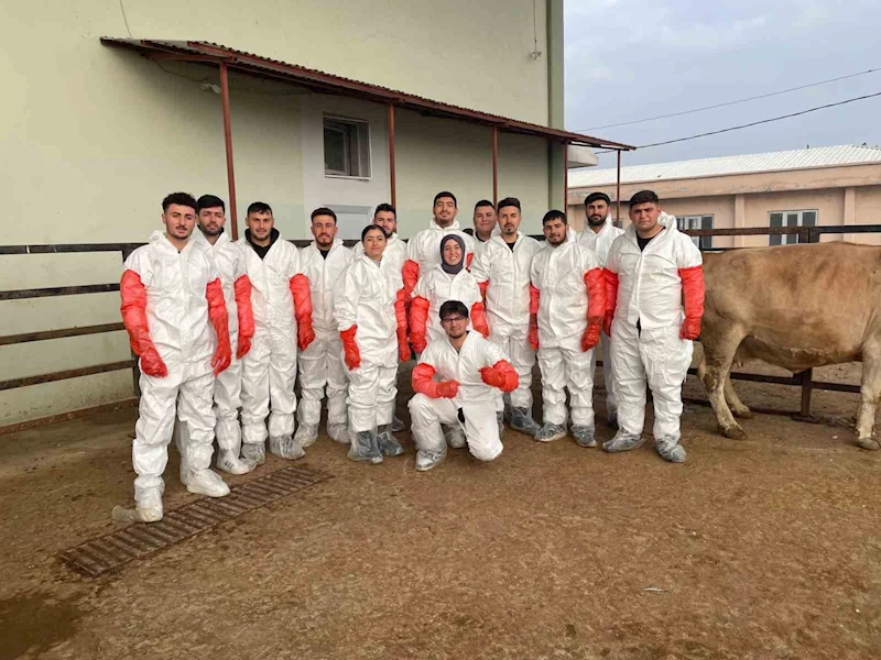 Iğdır’da veteriner sağlık teknisyenlerine suni tohumlama kursu düzenlendi
