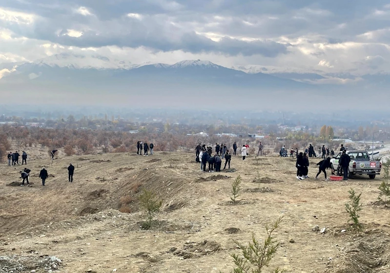 Erzincan’da dağa taşa umut ekiyorlar
