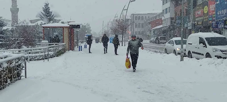 Kar Erzurum’u esir aldı
