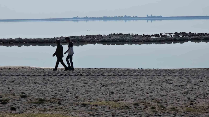 Havalar soğudu Arin Gölü’nün renkli misafirleri yerini ördeklere bıraktı
