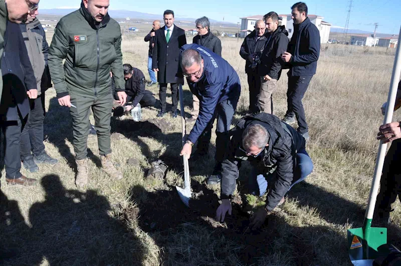 Kars’ta fidanlar toprakla buluştu
