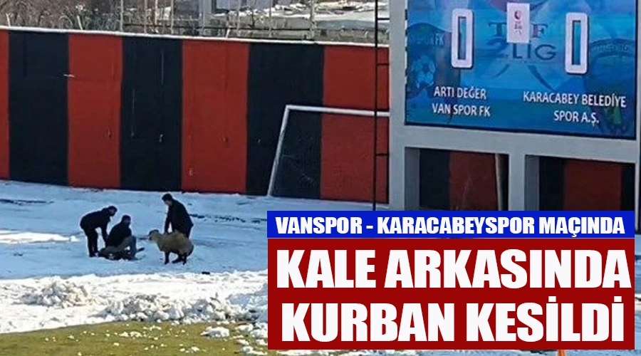 Futbol Sahasında Kurban Ritüeli: Vanspor Karacabey Karşılaşması Esnasında Sıradışı Olay Kameralara Yansıdı!