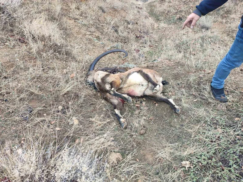 İyi Parti Milletvekili Karaman’a yasak av cezası
