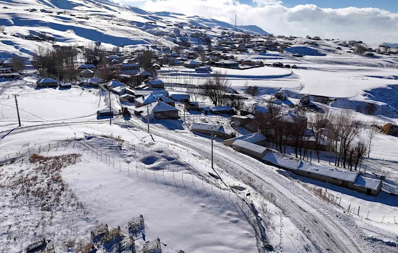 Van’da kardan dolayı kapanan 119 yerleşim yerinin yolu açıldı