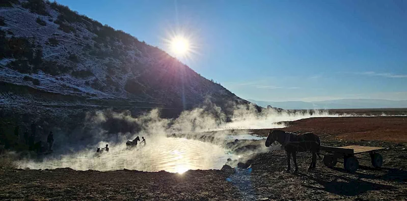 Eksi 15 derecede atların kaplıca keyfi
