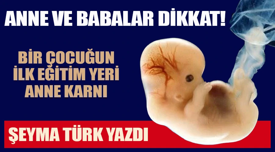 Şeyma Türk Vurguladı: 