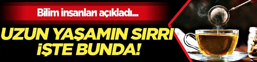 Bilimsel Keşif: Altın Çay, Uzun Ömür ve Sağlık Sırrını Çözüyor!