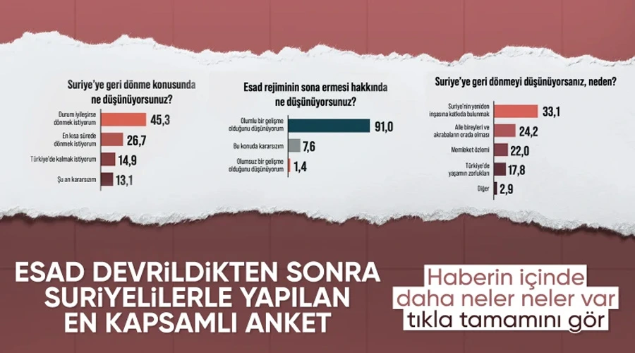 Areda Survey