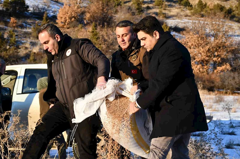 Olur’da yaban hayat unutulmadı
