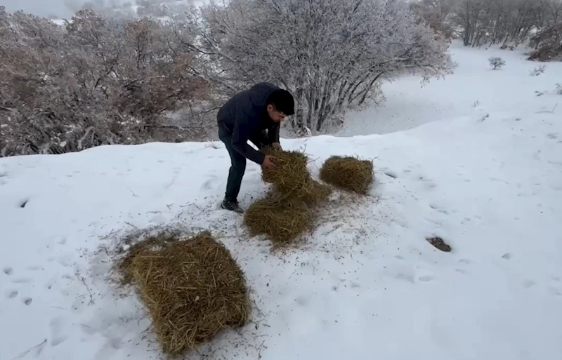 Yaban hayvanları için doğaya yem bırakıldı
