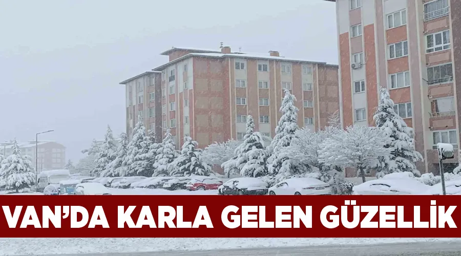 Van’da karla gelen güzellik