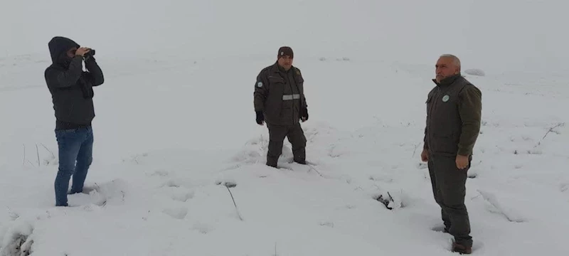 Elazığ’da yasa dışı avcılık yapan 2 kişiye idari işlem uygulandı
