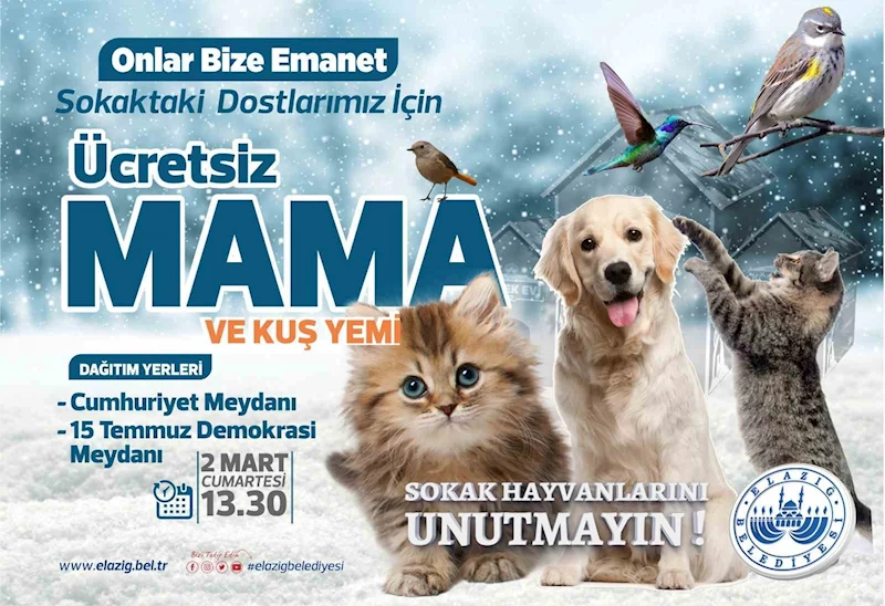 Elazığ Belediyesi ücretsiz mama ve kuş yemi dağıtacak
