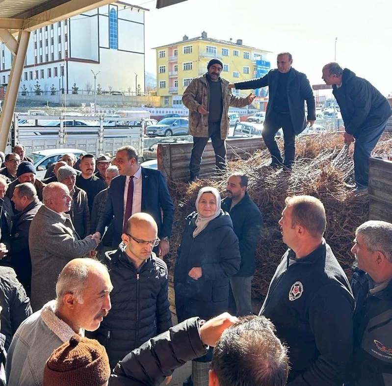 Üzümlü’de 12 bin adet kayısı fidanı çiftçilere dağıtıldı
