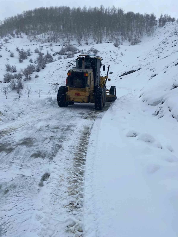 Bitlis İl Özel İdaresinden karla mücadele çalışması
