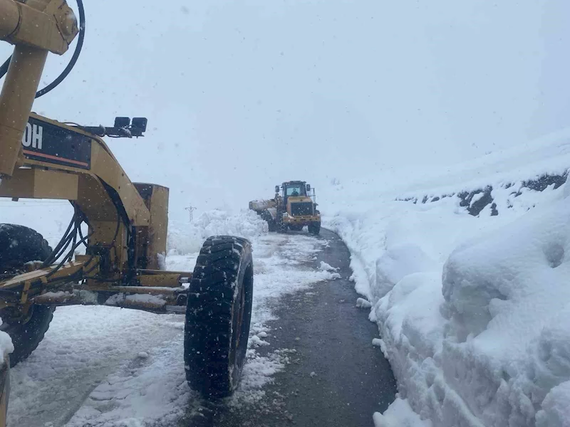 Hakkari’de kapanan 191 yerleşim yolu yeniden açıldı
