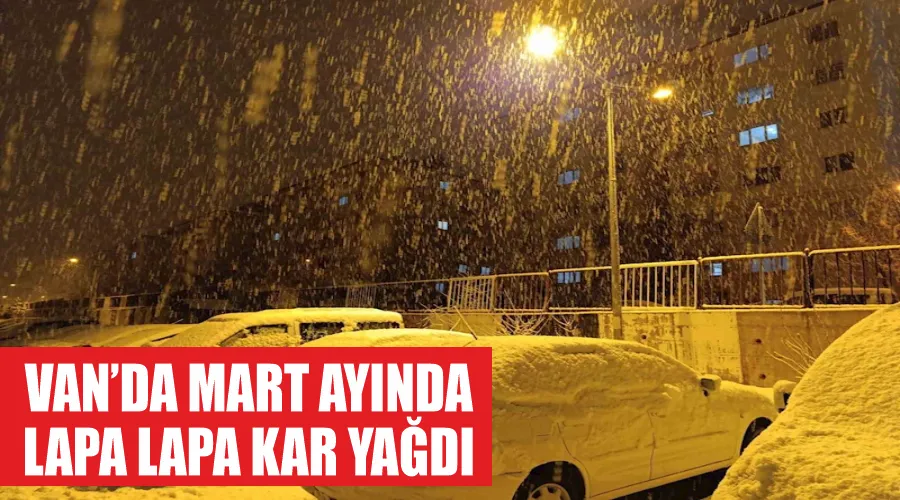 Van’da Mart ayında lapa lapa kar yağdı