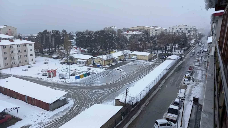 Tatvan’da kar yağışı hayatı olumsuz etkiliyor
