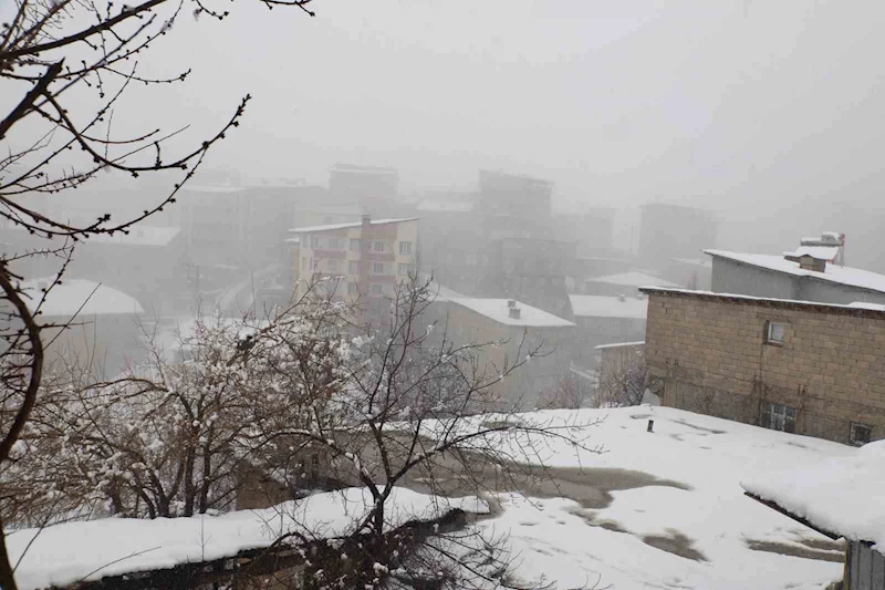 Hakkari’de 23 yerleşim yolu kapandı
