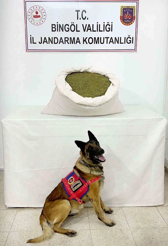 Bingöl’de 18,5 kilo toz esrar ele geçirildi
