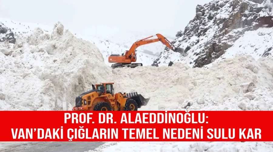 Prof. Dr. Alaeddinoğlu: “Van’daki çığların temel nedeni sulu kar