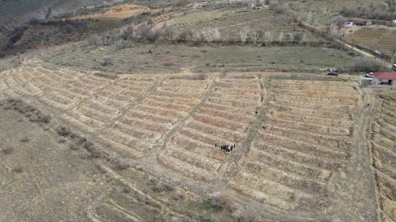 Erzincan’da çiftçilere tarla okulu eğitimi verildi
