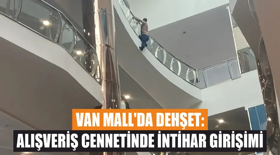 Van Mall