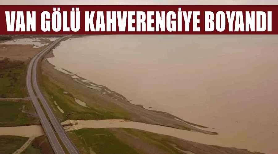 Van Gölü kahverengiye boyandı