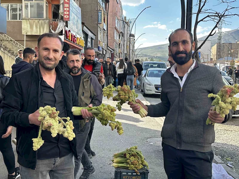 Yüksekova’da yayla muzunun destesi 100 TL’den satışa çıkarıldı
