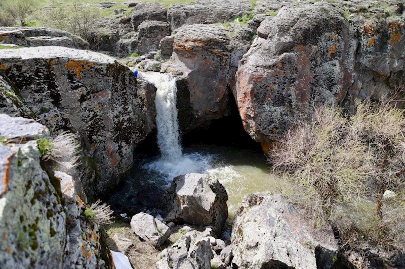 Ağrı’da baharla birlikte canlanan doğa göz kamaştırdı
