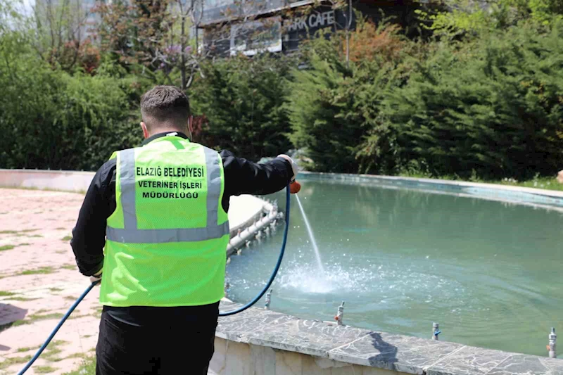 Elazığ’da larva ile mücadele çalışmaları sürüyor
