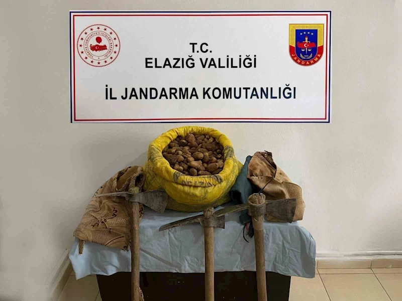 Elazığ’da 30 kilogram salep bitkisi ele geçirildi
