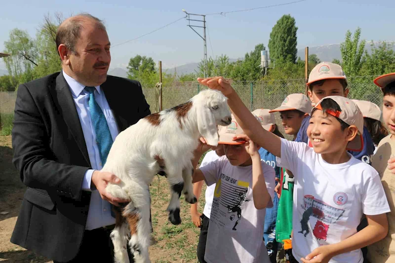 Öğrenciler e-Twinning kapsamında çiftlik gezdiler
