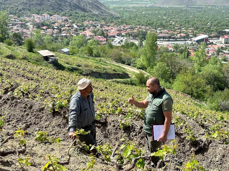 Sahayı adım adım dolaşıyorlar
