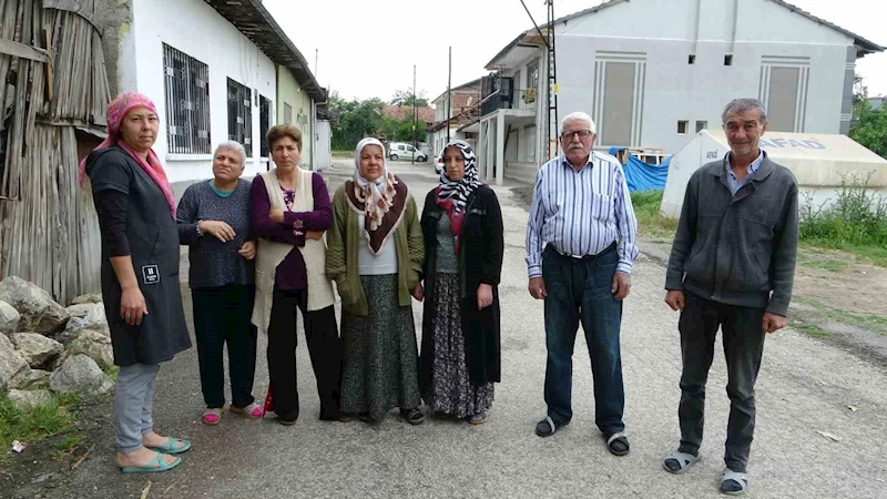 Sokak köpekleri mahalleliyi canından bezdirdi
