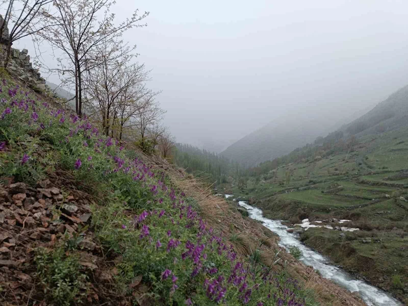 Erzurum’da mayıs ayında kar sürprizi
