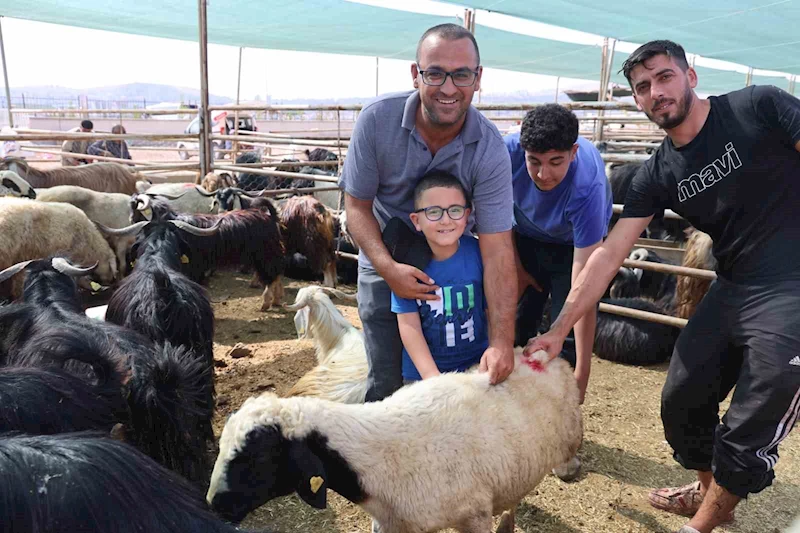 Elazığ’da bayramın son gününde kurbanlık alma telaşı sürdü
