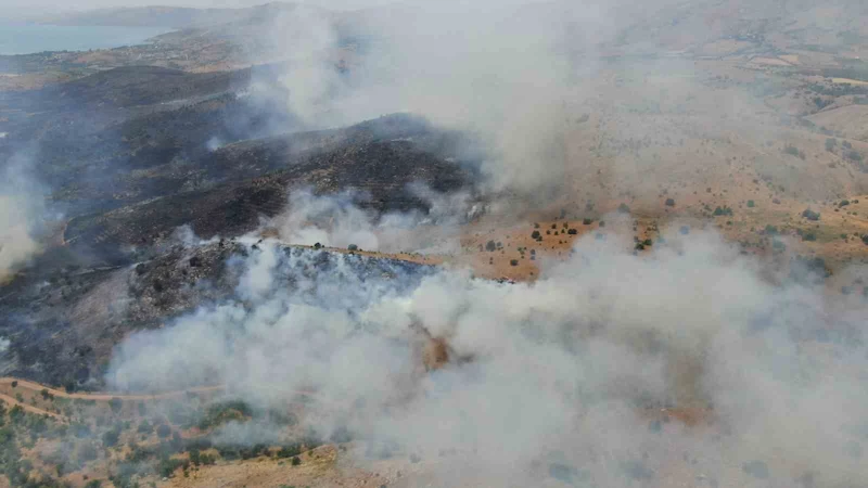 Elazığ’da orman yangınına havadan müdahale sürüyor
